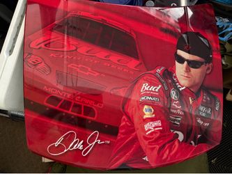 🏎️ Dale Earnhardt Jr. #8 Budweiser NASCAR Collectible Mini Hood Display