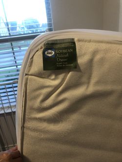 Sealy infant Mattress 