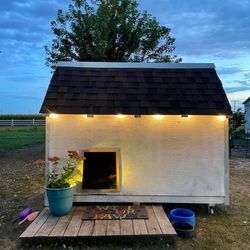 Huge Dog House 8’W x 4’D x 7-8’H