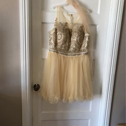 Fancy Dress