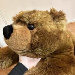 Steiff Bear