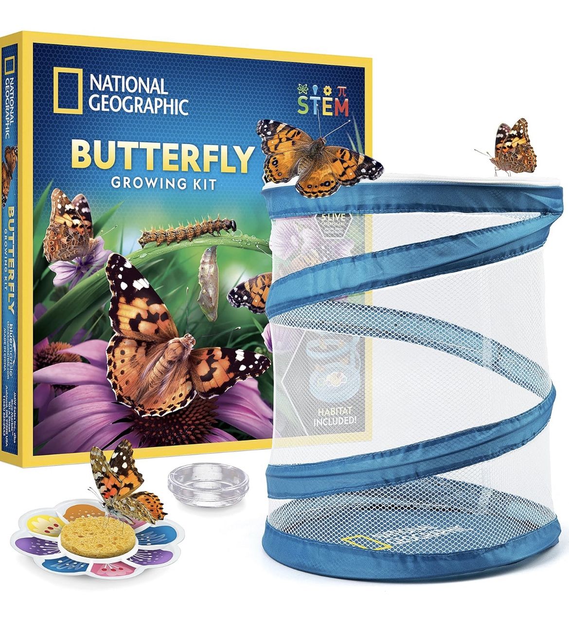 National Geographic Butterfly Growing kit