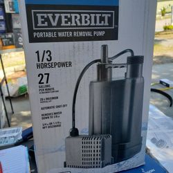 Portable Water Removal Pump