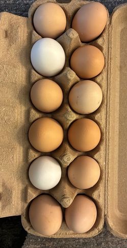 Farm Fresh Eggs