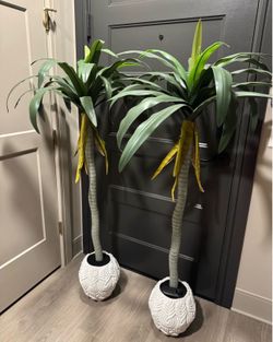 50 inch palm trees