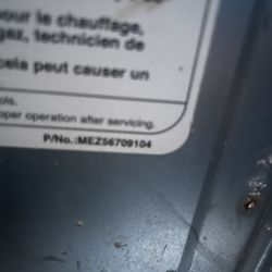 Gas Dryer Front Loader