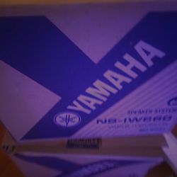 Yamaha Wall Speakers 