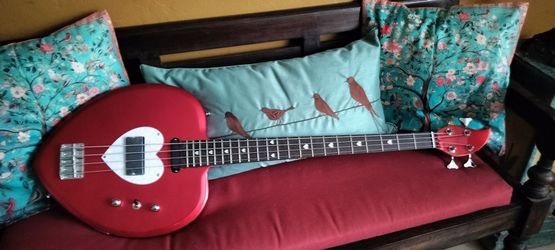 Brand new full size electric bass