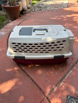 Small pet carrier