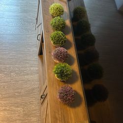 6 Small Decorative Plants 