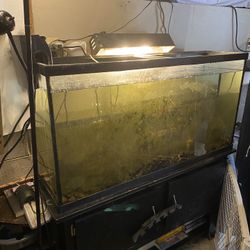 60 Gal Fish Tank