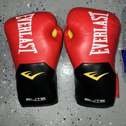 Everlast Gloves For Boxing
