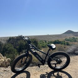 E-bike Phantom Fat Track E9 