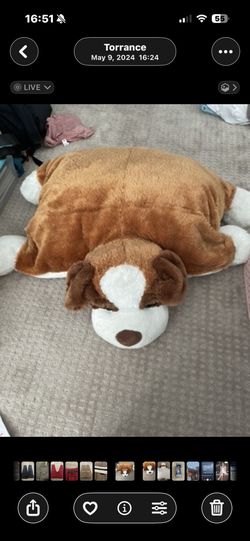 Big Dog Pillow