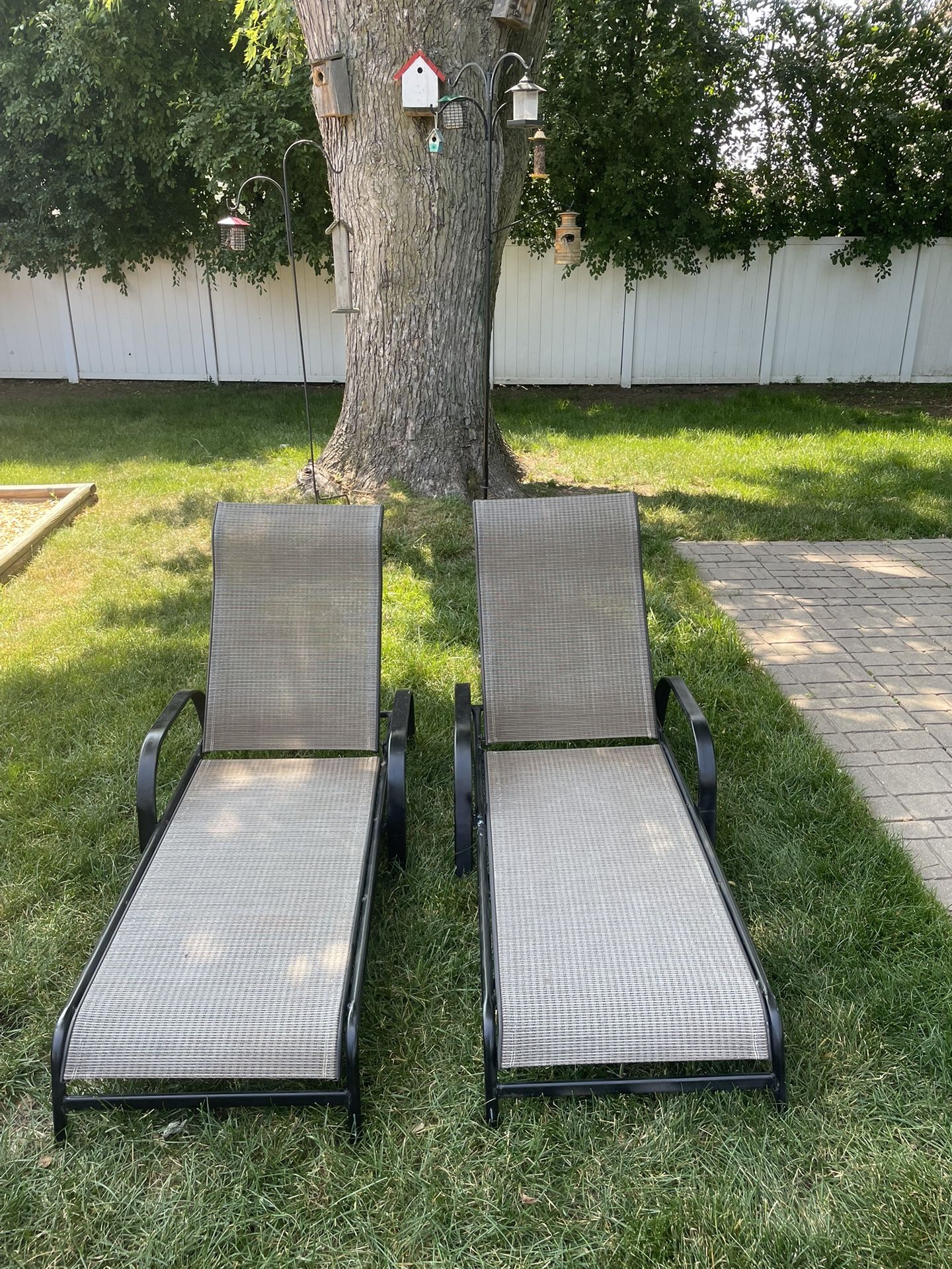 Lounge Chairs
