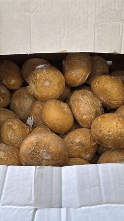 Free Produce Giveaway 