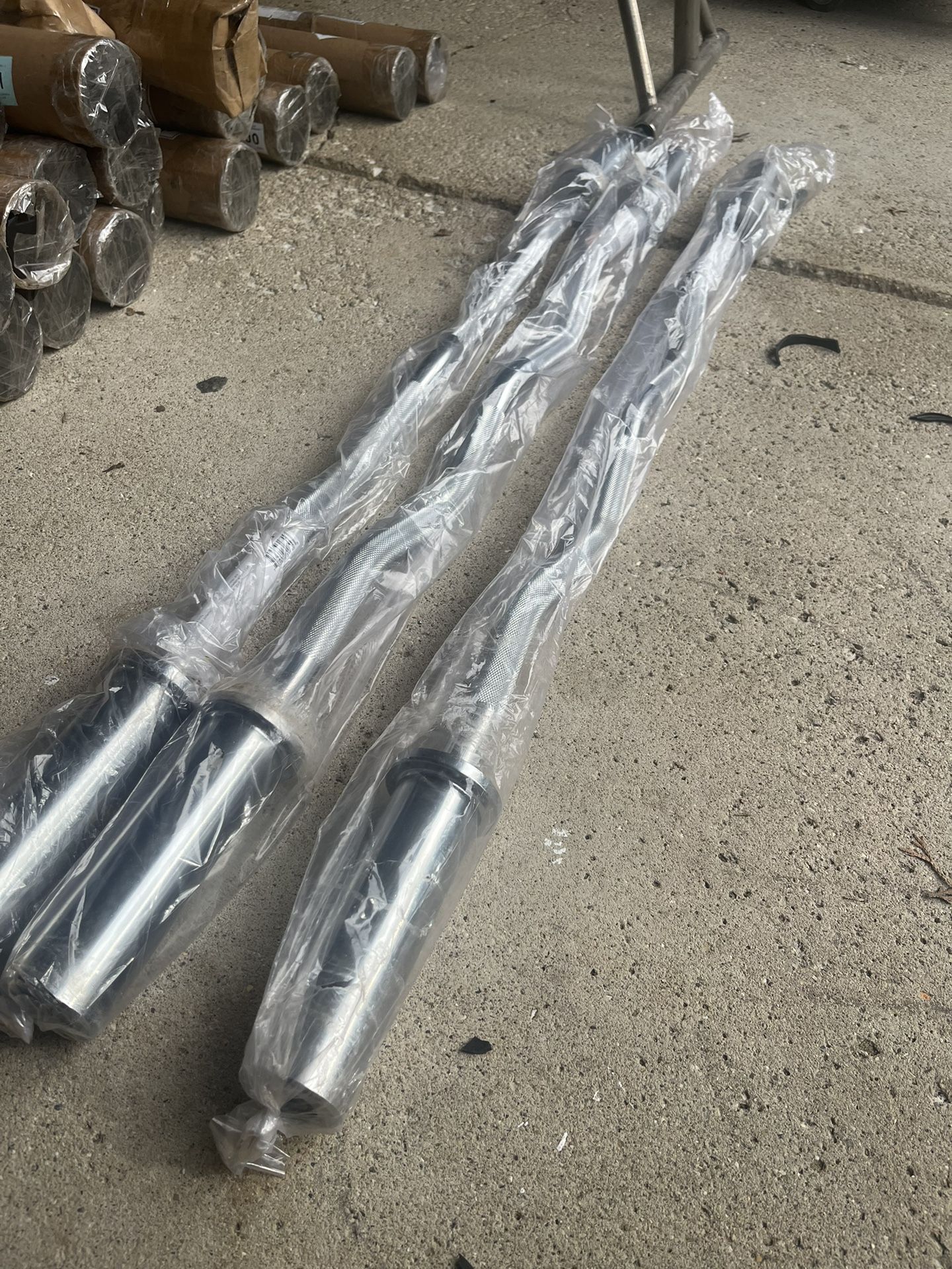 New Olympic Curl Bars