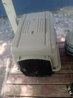 Pet kennel