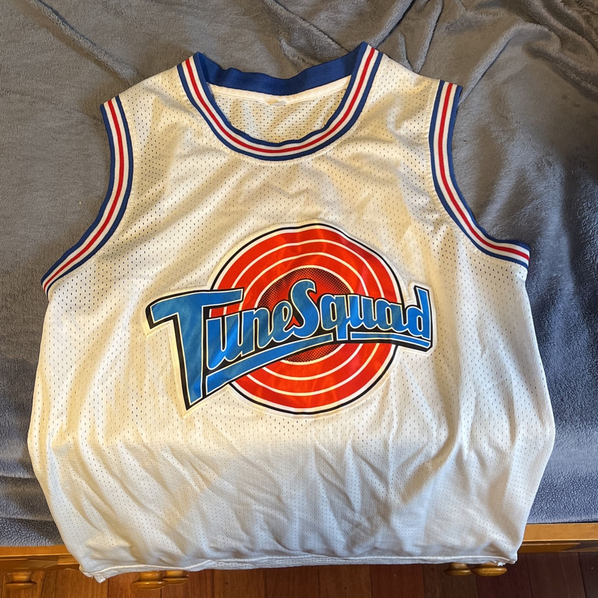 ToonSquad BUGS Jersey 