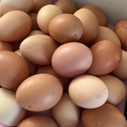 Farm Fresh Eggs