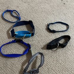 Dog Collar 