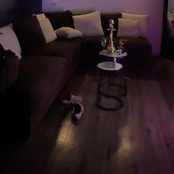 Large L Sectional *$300* GOTTA GO ASAP