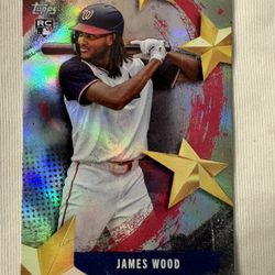 James Wood