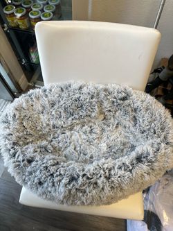 Cat Bed