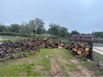 Firewood