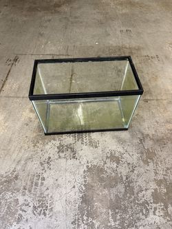 29 gallon fish tank