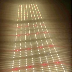 LED Horticulture Light