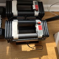 Powerblock Adjustable Dumbbell Set 