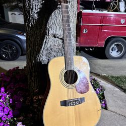 Cort 12 String Electric-Acoustic Guitar 