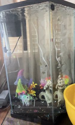 35 Gallon Fish tank w/ Lid, Light and Filter