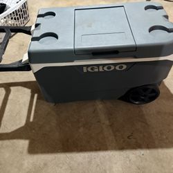 Igloo Cooler