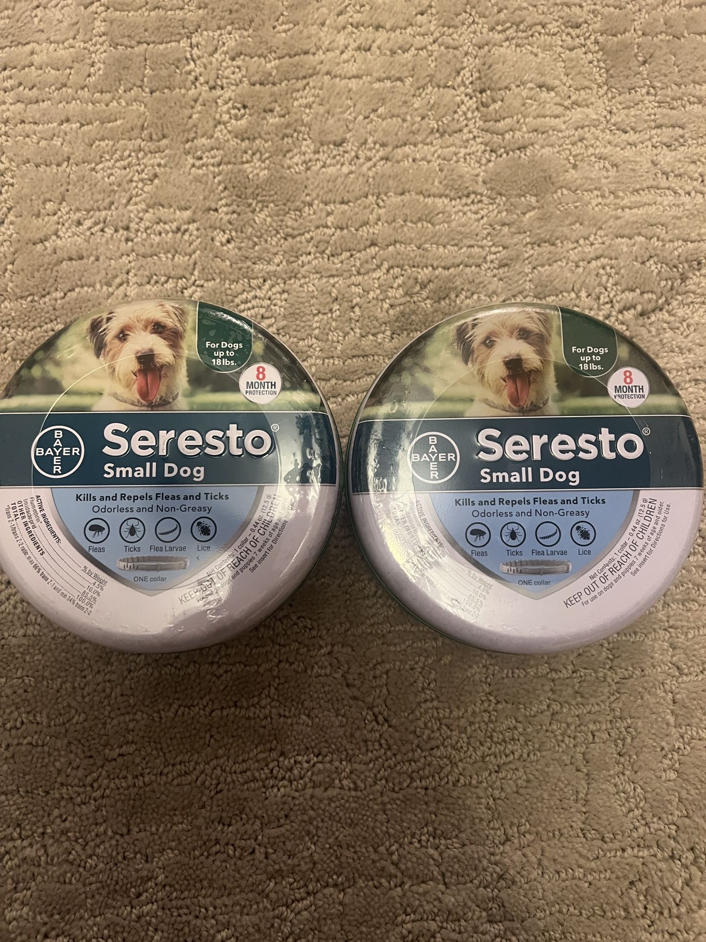 Collar For Small Dogs