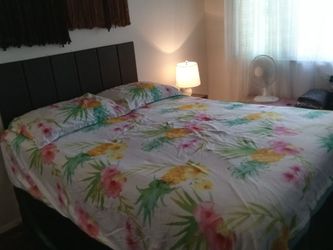 2 Sided Queen Duvet Cover W/2 Shams