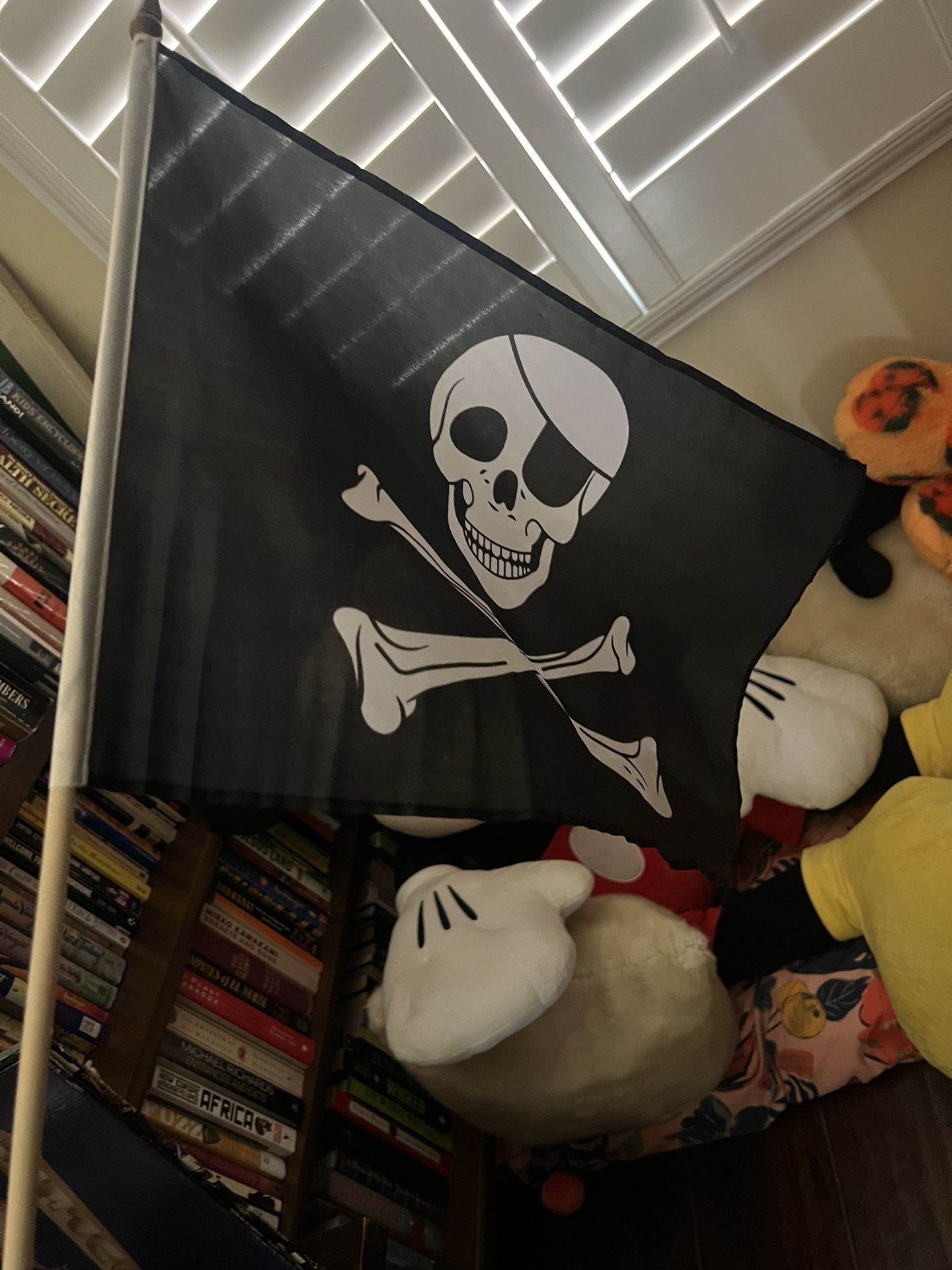 Pirates Of The Caribbean Flag Disneyland