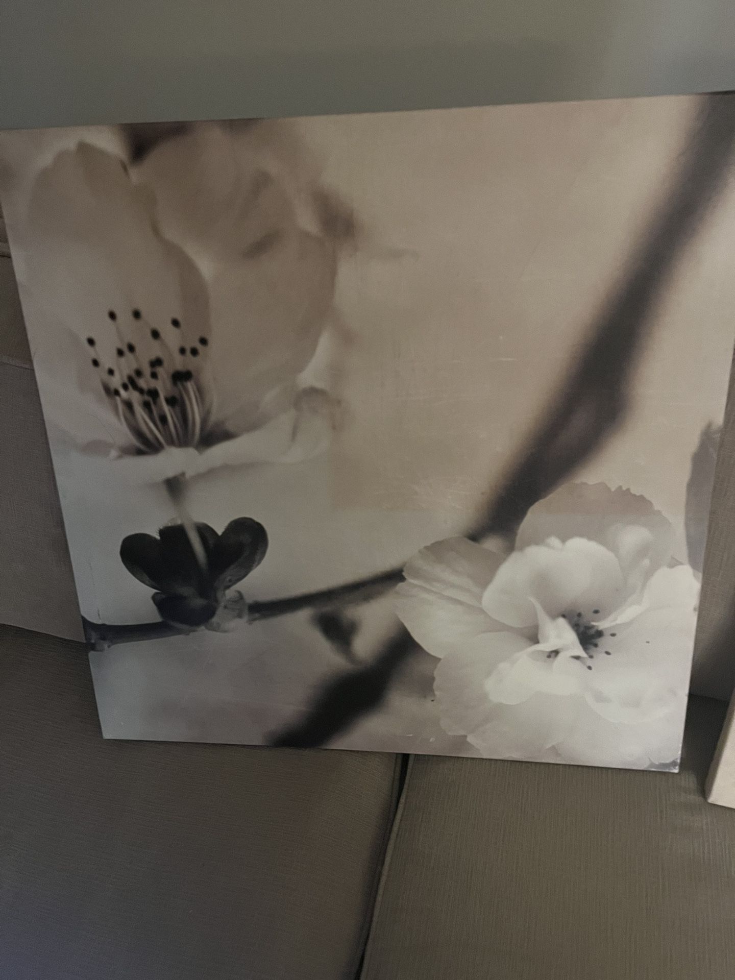 Photography Prints On Canvas