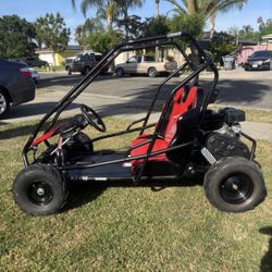 Coleman 2 Seater go kart