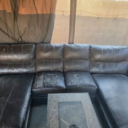 Free Sectional Couch