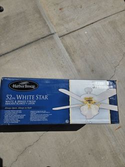 Ceiling Fan with lights