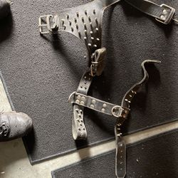 Dog Spike Harness