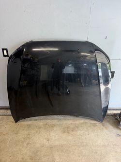 2010 Audi A5 Coupe Hood assembly