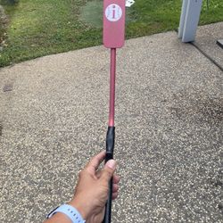 Inside Trainer Bat 