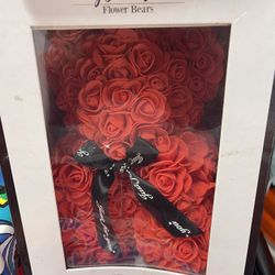 Teddy Bear Valentine’s 