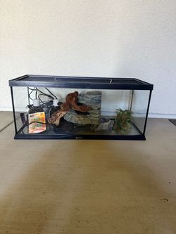 20 gallon reptile tank