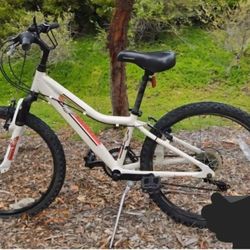 Mountain Bike (Kids)
