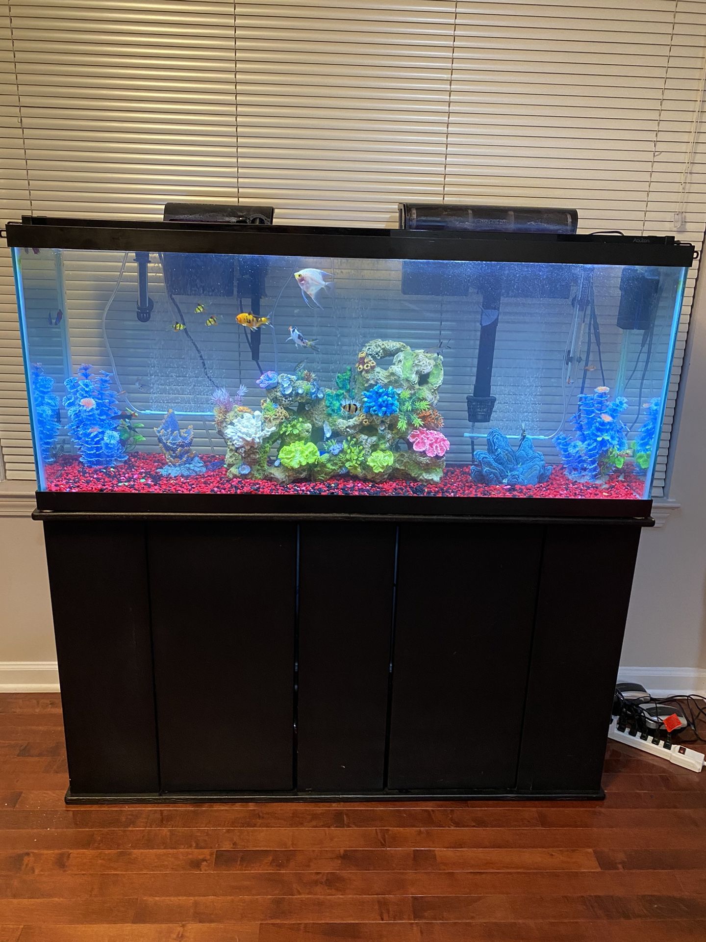 65 gallon fish tank aquarium full set