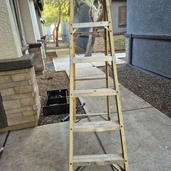 6 Foot Ladder